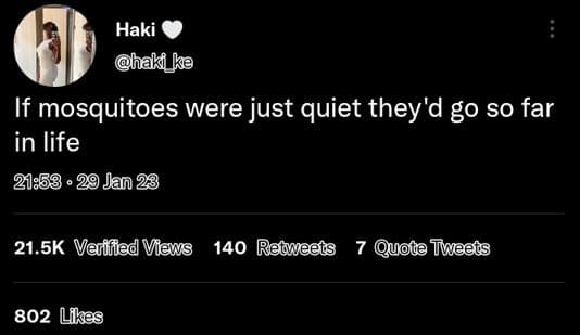 Haki haki_ka if mosquitoes were just quiet they'd go so far in life 29 jan 23 21