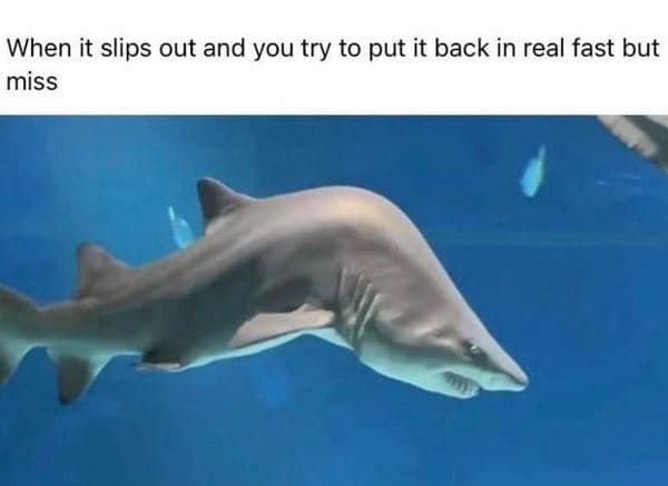 When it slips out and you try to put it back in real fast but miss