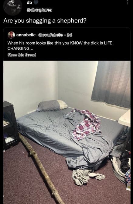 Dbouxpuuie are you shagging a shepherd? annabelle couiiabelle 2d when his room l