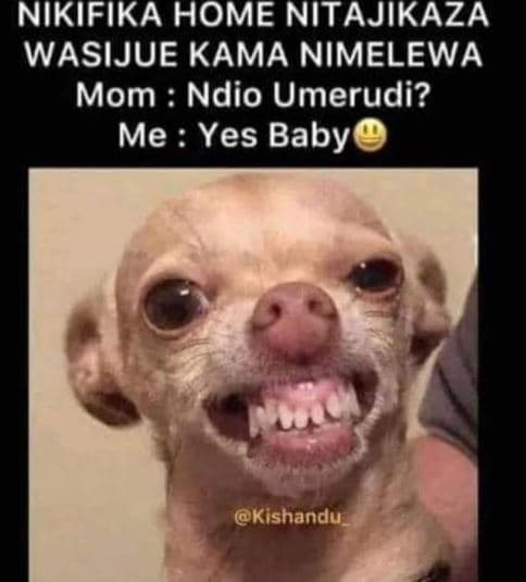 Nikifika home nitajikaza wasijue kama nimelewa mom ndio umerudi? me yes baby kis