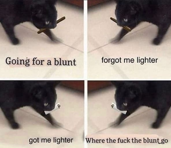 Going for a blunt forgot me lighter got me lighter where the fuck the bluntgo