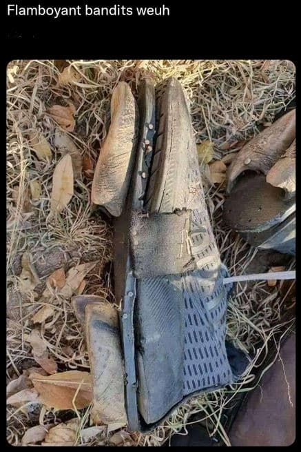 Flamboyant bandits weuh