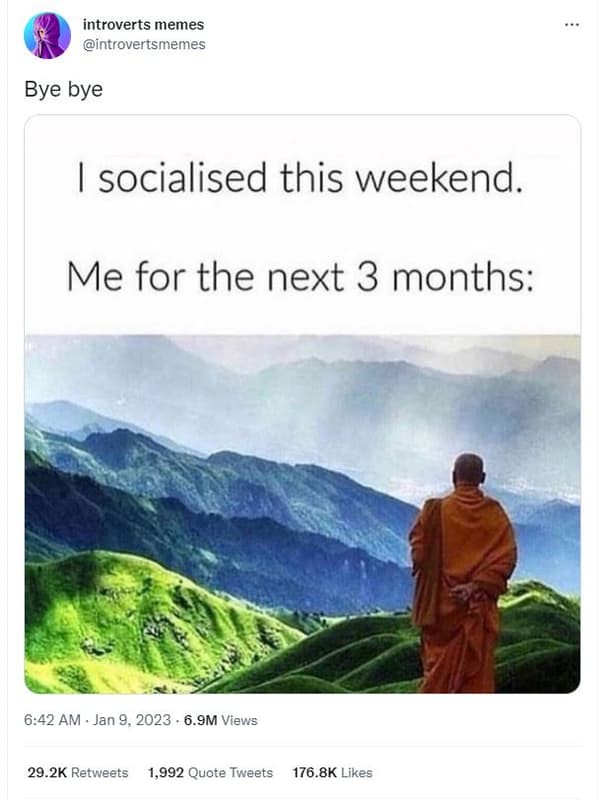 Introverts memes introvertsmemes bye bye socialised this weekend. me for the nex