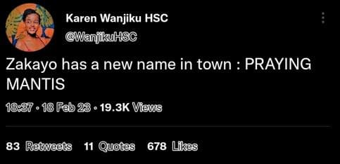Karen wanjiku hsc wanjluhsc zakayo has a new name in town praying mantis 1887 18