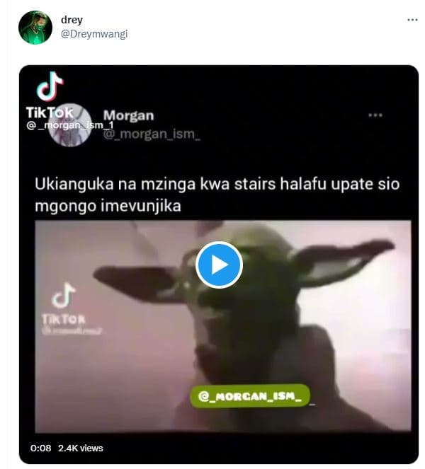 Drey dreymwangi tiktok morgan organ sm _morgan ism _ ukianguka na mzinga kwa sta