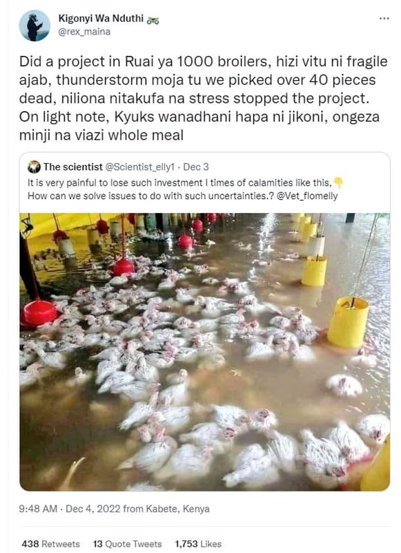 Kigonyi wa nduthi 06 rex_maina did a project in ruai ya broilers, hizi vitu ni f