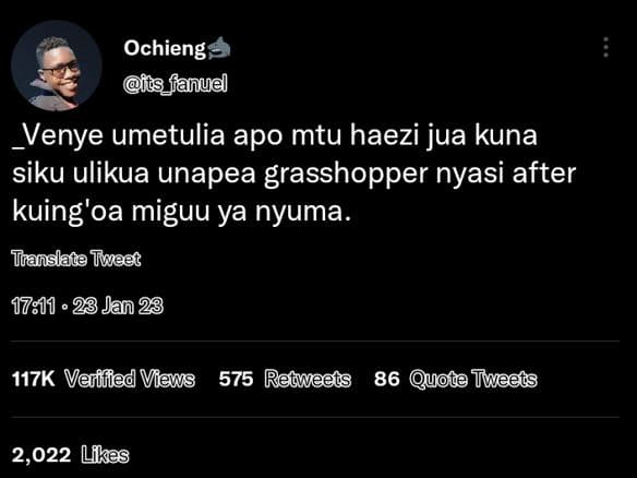 Ochieng ts_fanuel venye umetulia apo mtu haezi jua kuna siku ulikua unapea grass