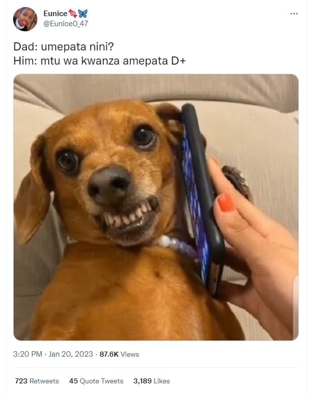 Eunice 8 eunice0_47 dad umepata nini? him mtu wa kwanza amepata d 3.20 pm jan 20