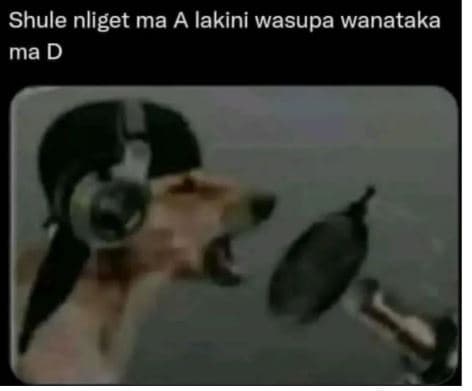 Shule nliget ma a lakini wasupa wanataka ma d