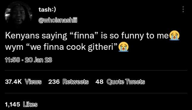 Tash whoisnashfi kenyans saying 'finna is so funny to me wym we finna cook githe