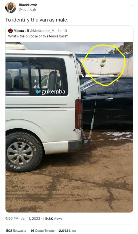 Blackhawk mutindah to identify the van as male. mutua b mutuabrian_m jan 10 what