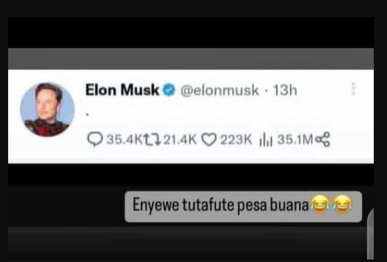 Elon musk elonmusk 13h 036.4kt721,4k 0 223k ı1 35 ima8 enyewe tutafute pesa buan