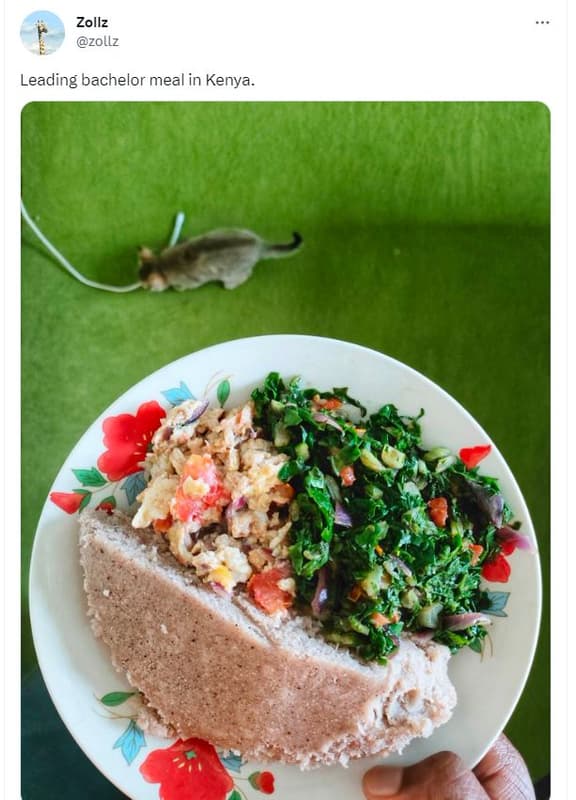 Zollz zollz leading bachelor meal in kenya_