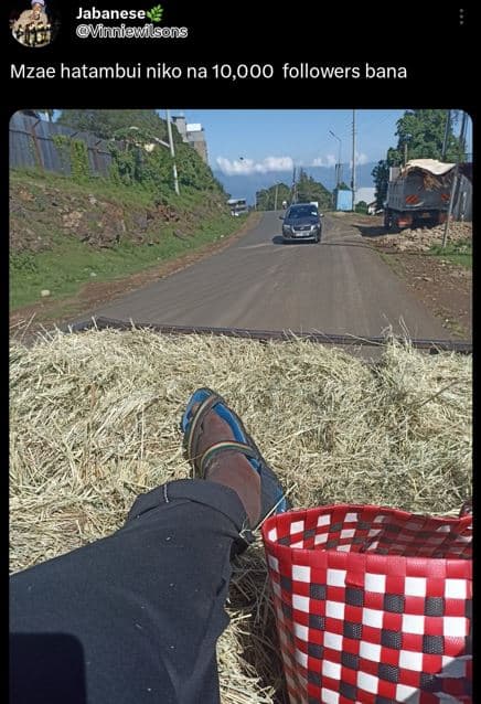 Jabanese vinniewilsons mzae hatambui niko na 10,000 followers bana