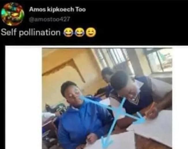 Amos kipkoech too wamogioo4y self pollination