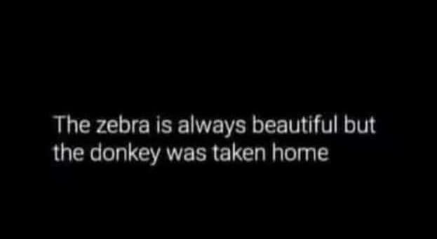 The zebra is always beautiful but the donkey was taken home