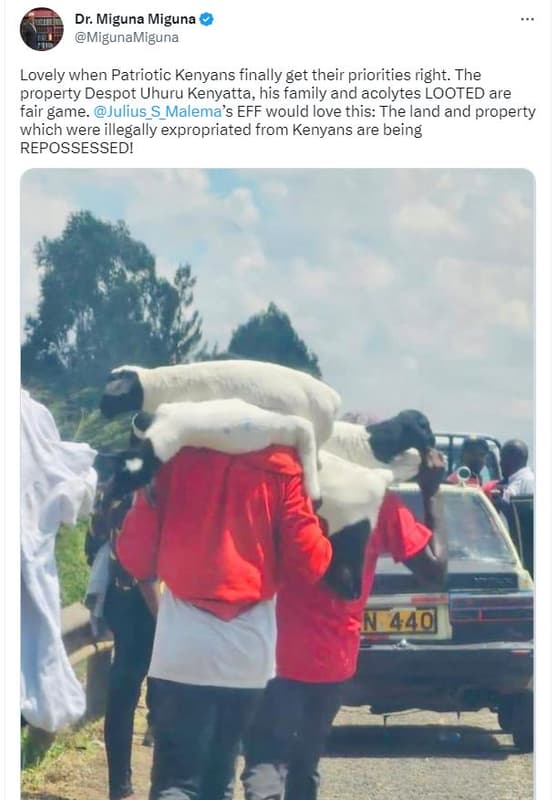 Dr. miguna miguna migunamiguna lovely when patriotic kenyans finally get their p