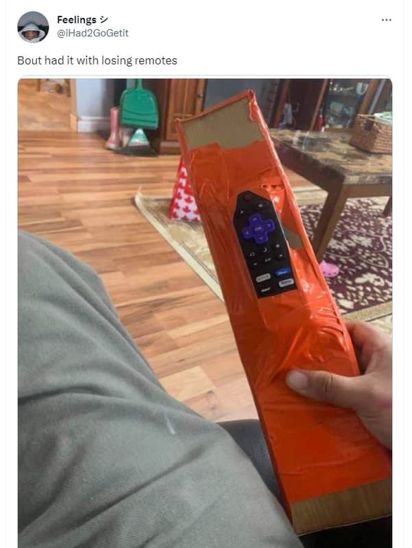 Feelings ihad2gogetit bout had it with losing remotes