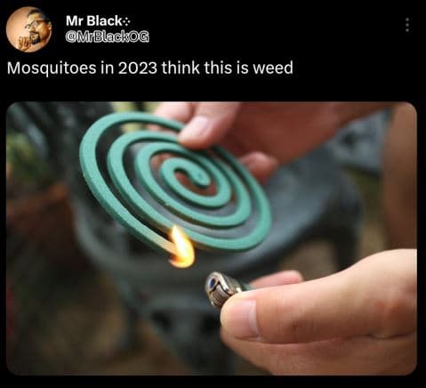 Mr black mrblackog mosquitoes in think this is weed