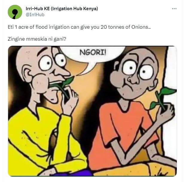 Irrihub ke irrigation hub kenya irrihub eti acre of flood irrigation can give yo