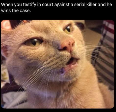 When you testify in court against a serial killer and he wins the case