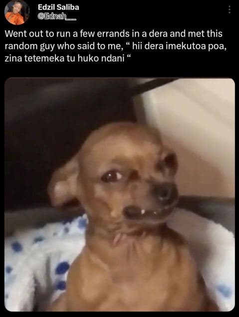 Edzil saliba edhah went out to run a few errands in a dera and met this random g