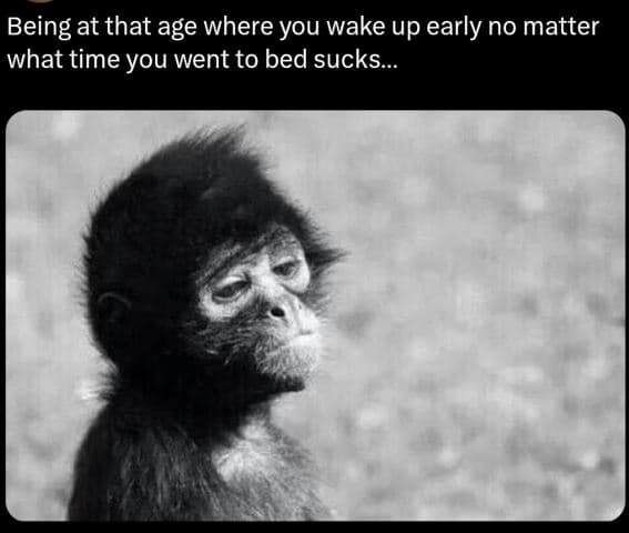 Being at that age where you wake up early no matter what time you went to bed su