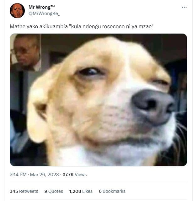 Mr wrongrm mrwrongke mathe yako akikuambia kula ndengu rosecoco ni ya mzae 3.14