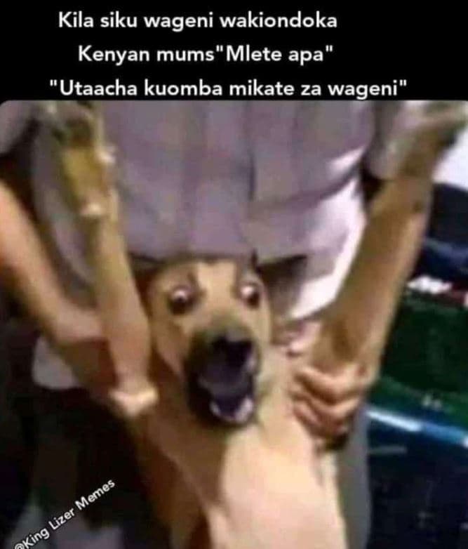 Kila siku wageni wakiondoka kenyan mums mlete apa utaacha kuomba mikate za wagen