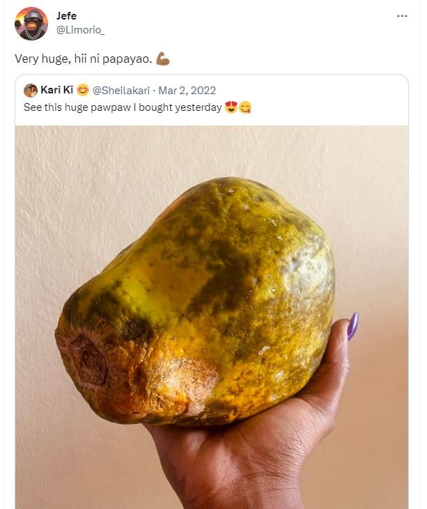 Jefe limorio_ very huge hii ni papayao. kari ki sheilakari mar 2, see this huge