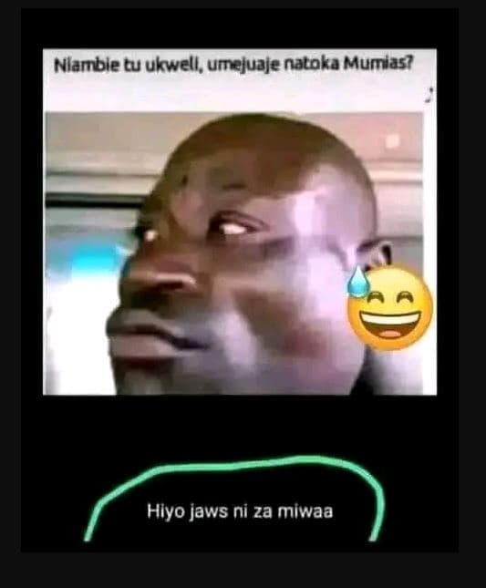 Nlambie tu ukwell, umejuaje naloka mumias? hlyo jaws ni za miwaa