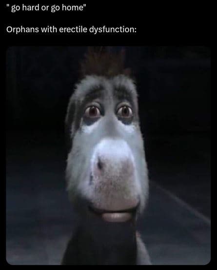 Go hard or go home orphans with erectile dysfunction