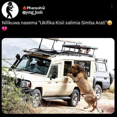 Pharaoh? mng jooh nilikuwa nasema ukifika kisii salimia simba arati