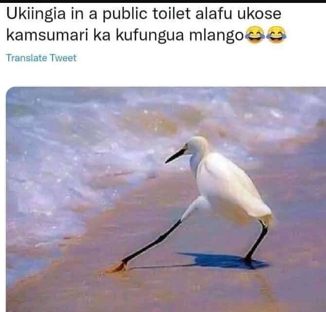 Ukiingia in a public toilet alafu ukose kamsumari ka kufungua mlangosc translate
