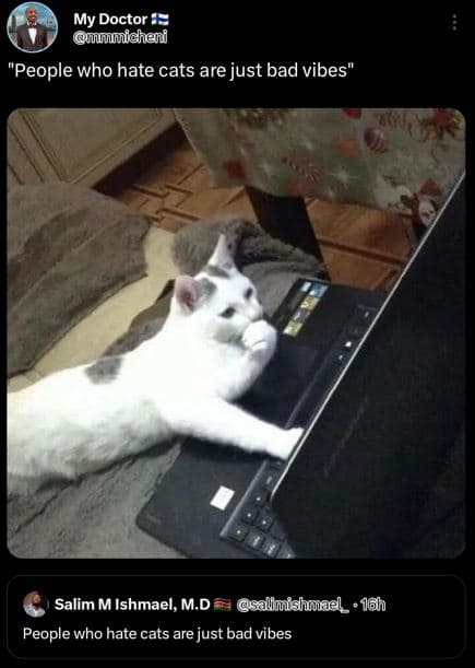 My doctor uicheni people who hate cats are just bad vibes salim m ishmael, m.d s