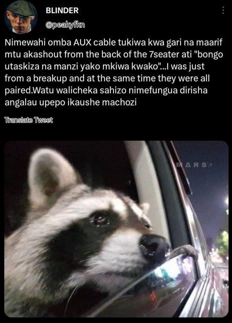 Blinder peakyiikn nimewahi omba aux cable tukiwa kwa gari na maarif mtu akashout