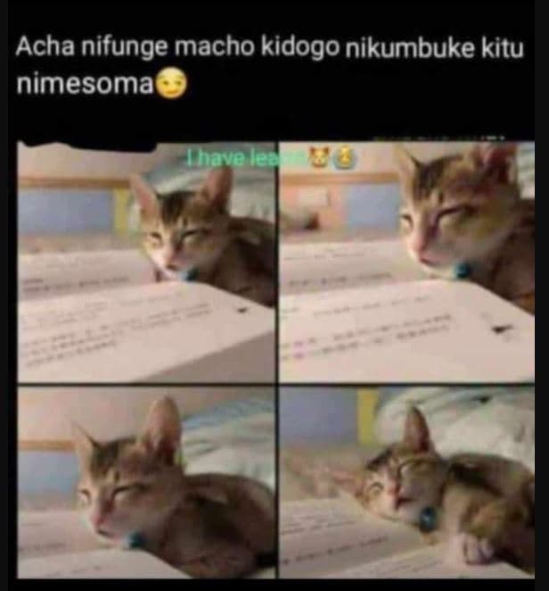 Acha nifunge macho kidogo nikumbuke kitu nimesoma ihave lea