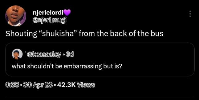 Njerielordi jeimug shouting shukisha from the back of the bus keaaaaley 3d what