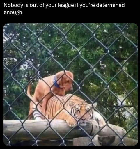 Nobody is out of your league if you're determined enough