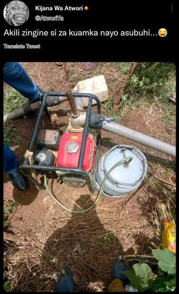 Kijana wa atwori amcola akili zingine si za kuamka nayo asubuhi._ tunshanu tanun