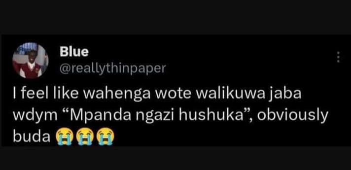 Blue reallythinpaper feel like wahenga wote walikuwa jaba wdym 'mpanda ngazi hus
