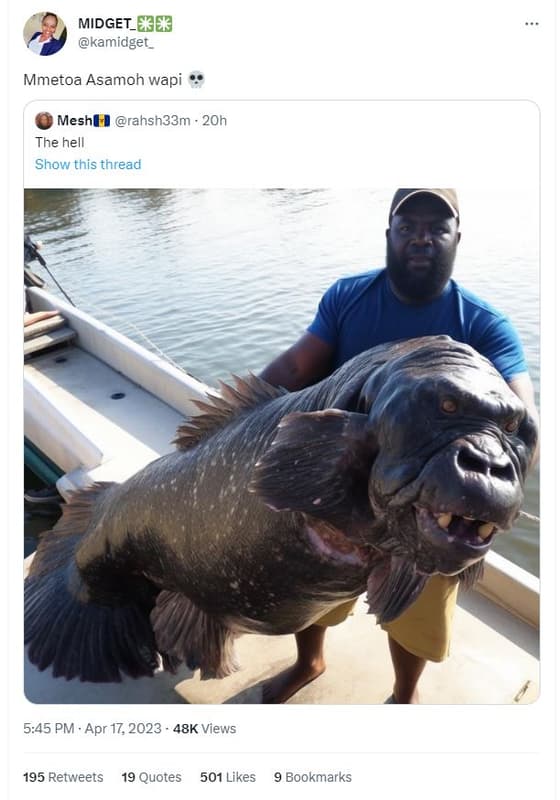 Midget_ee kamidget _ mmetoa asamoh wapi meshl rahsh33m 20h the hell show this th