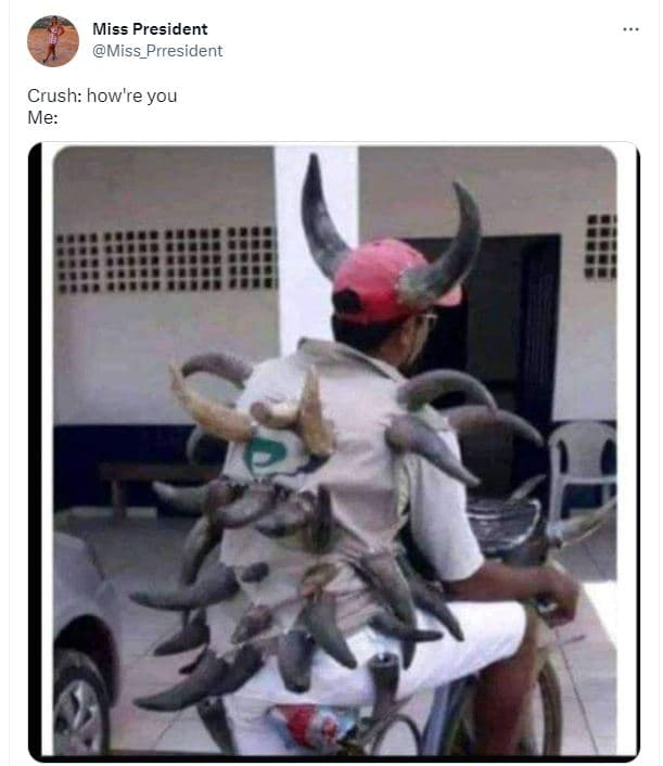 Miss president miss_prresident crush how're you me