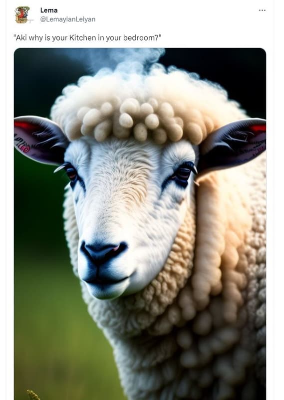 Lema lemayianleiyan aki why is your kitchen in your bedroom?