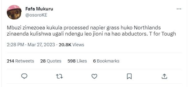Fafa mukuru osoroke mbuzi zimezoea kukula processed napier grass huko northlands