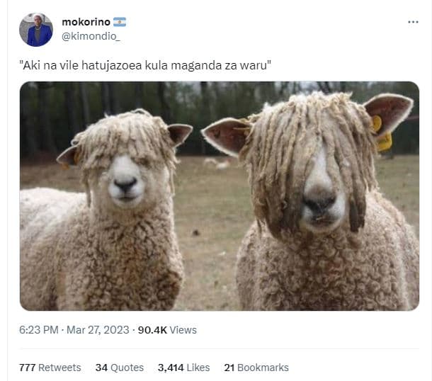 Mokorino kimondio_ 'aki na vile hatujazoea kula maganda za waru 6.23 pm mar 27,