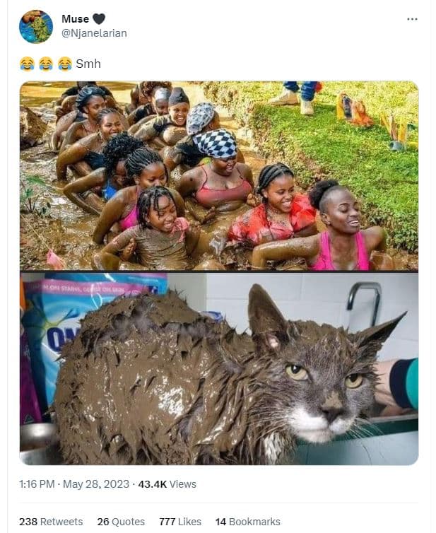 Muse njanelarian smh 1.16 pm . may 28, 43.4k views 238 retweets 26 quotes 777 li