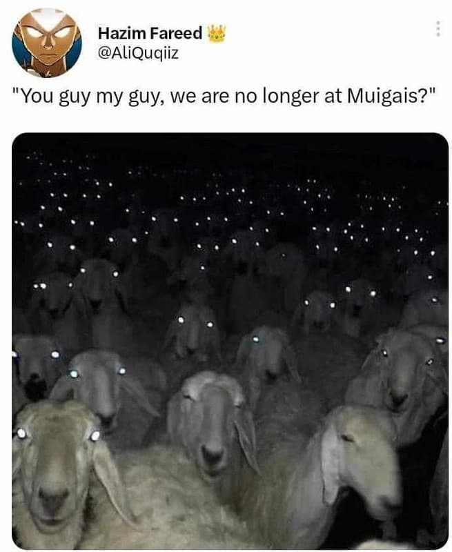 Hazim fareed aliquqiiz you guy my guy we are no longer at muigais?