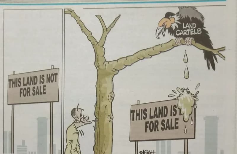 Land cartels ithis l land is nof 'forsale jthis d land 1s forsale