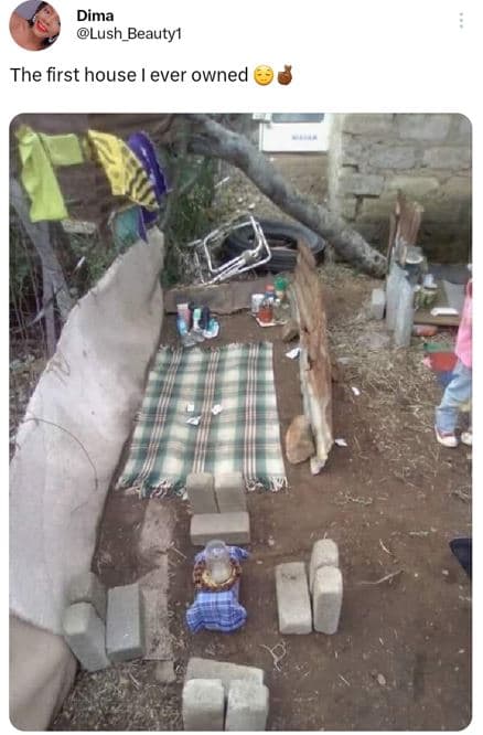 Dima lush_beautyı the first house ever owned